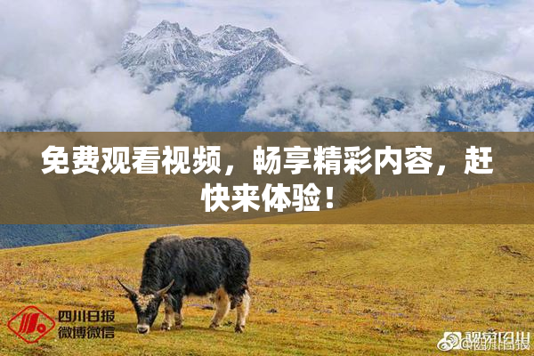 免费观看视频，畅享精彩内容，赶快来体验！