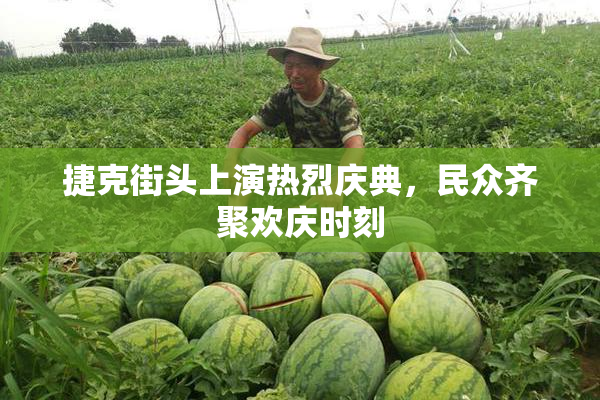 捷克街头上演热烈庆典，民众齐聚欢庆时刻