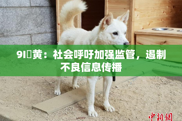 9I婬黄：社会呼吁加强监管，遏制不良信息传播