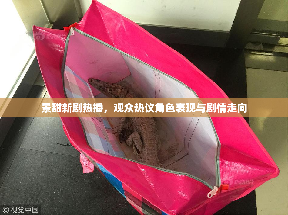 景甜新剧热播，观众热议角色表现与剧情走向