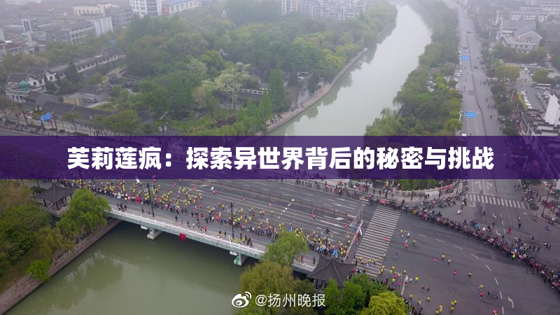 芙莉莲疯：探索异世界背后的秘密与挑战