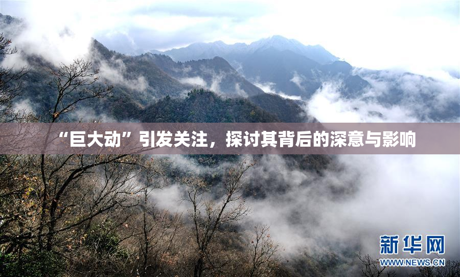 “巨大动”引发关注，探讨其背后的深意与影响