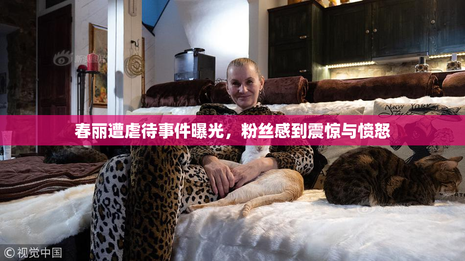 春丽遭虐待事件曝光，粉丝感到震惊与愤怒