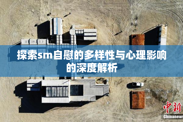 探索sm自慰的多样性与心理影响的深度解析