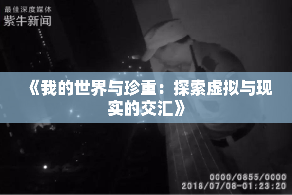 《我的世界与珍重：探索虚拟与现实的交汇》