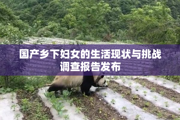 国产乡下妇女的生活现状与挑战调查报告发布