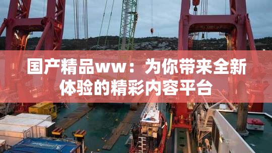 国产精品ww：为你带来全新体验的精彩内容平台