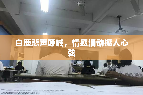 白鹿悲声呼喊，情感涌动撼人心弦