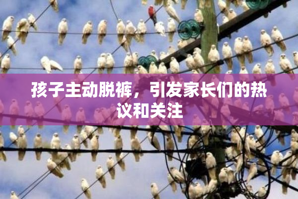 孩子主动脱裤，引发家长们的热议和关注