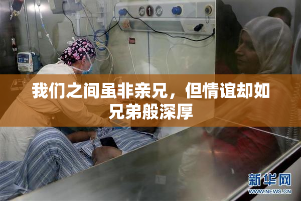 我们之间虽非亲兄，但情谊却如兄弟般深厚
