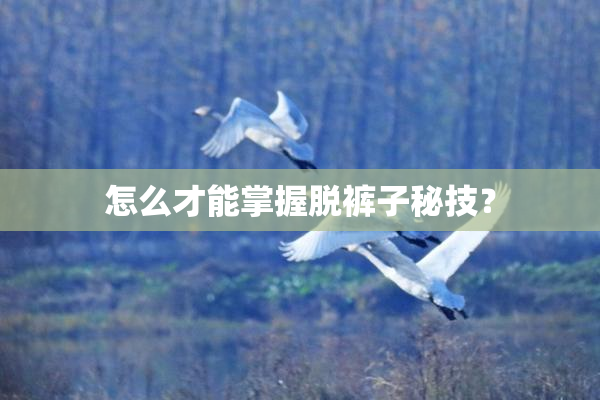 怎么才能掌握脱裤子秘技？