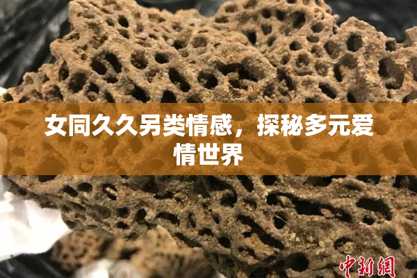 女同久久另类情感，探秘多元爱情世界