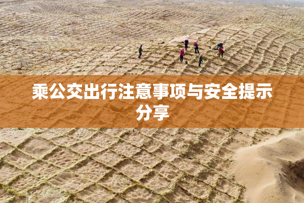乘公交出行注意事项与安全提示分享