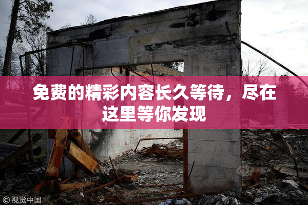 免费的精彩内容长久等待，尽在这里等你发现