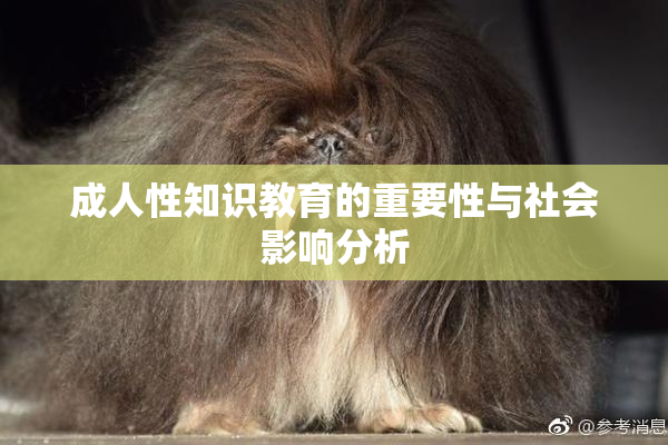 成人性知识教育的重要性与社会影响分析
