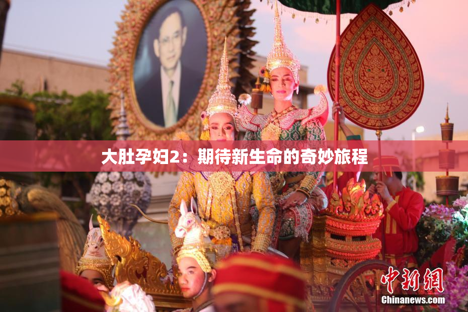 大肚孕妇2：期待新生命的奇妙旅程