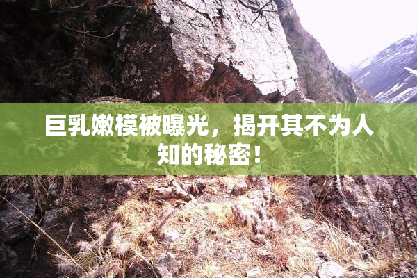 巨乳嫩模被曝光，揭开其不为人知的秘密！