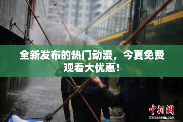 全新发布的热门动漫，今夏免费观看大优惠！