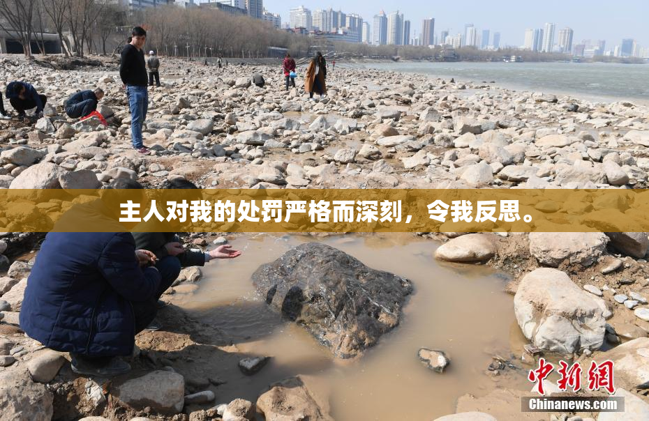 主人对我的处罚严格而深刻，令我反思。