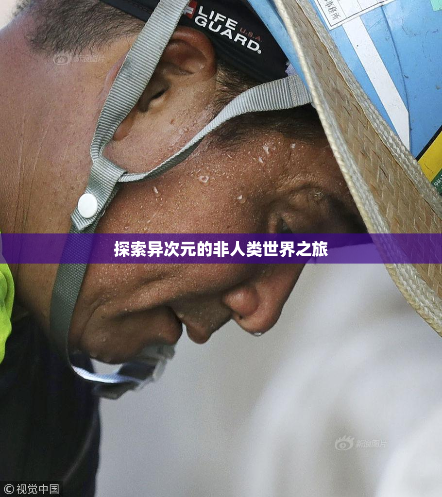 探索异次元的非人类世界之旅