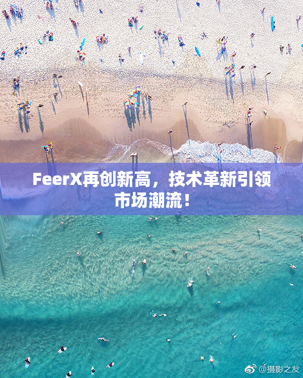 FeerX再创新高，技术革新引领市场潮流！