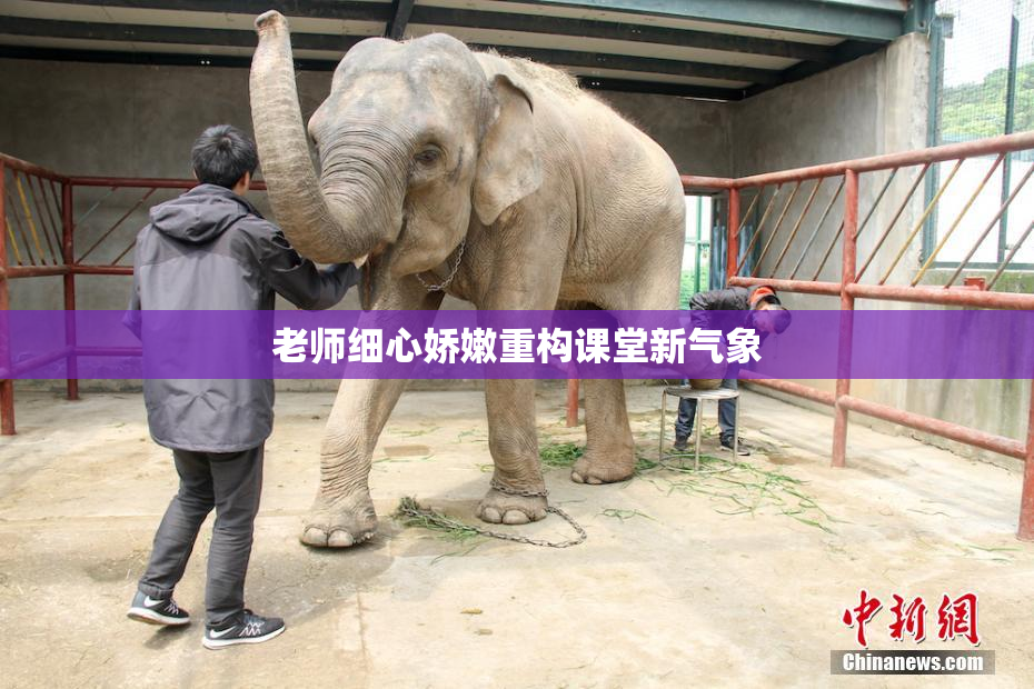 老师细心娇嫩重构课堂新气象
