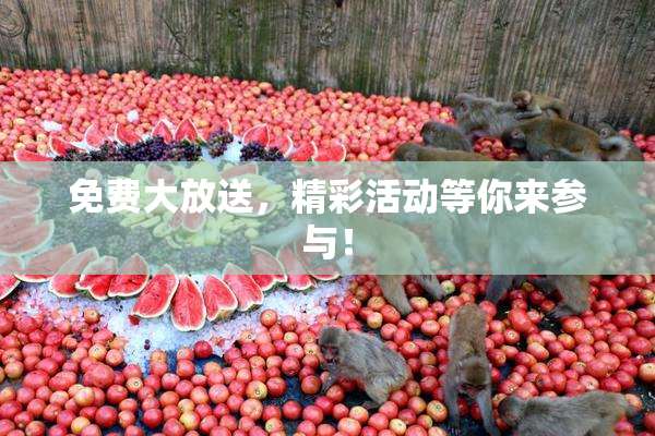 免费大放送，精彩活动等你来参与！