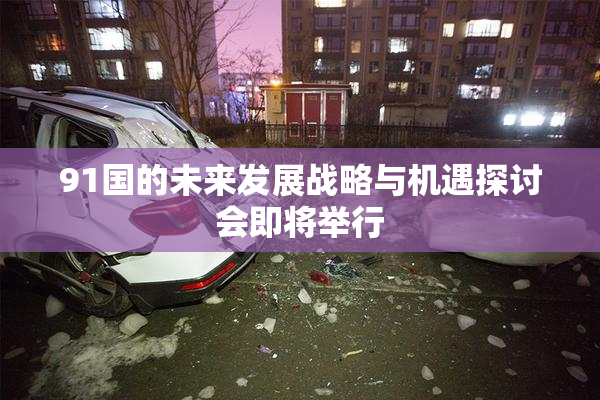 91国的未来发展战略与机遇探讨会即将举行