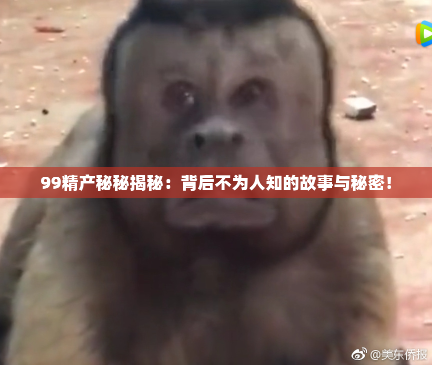 99精产秘秘揭秘：背后不为人知的故事与秘密！