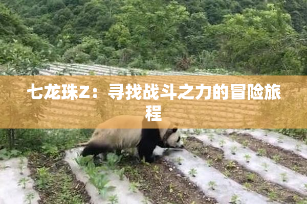 七龙珠Z：寻找战斗之力的冒险旅程