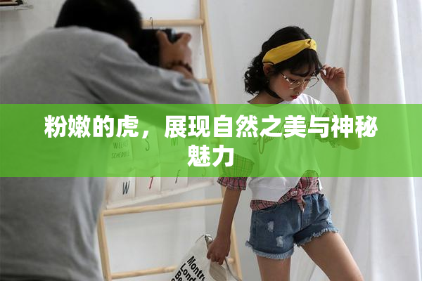粉嫩的虎，展现自然之美与神秘魅力