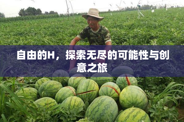 自由的H，探索无尽的可能性与创意之旅
