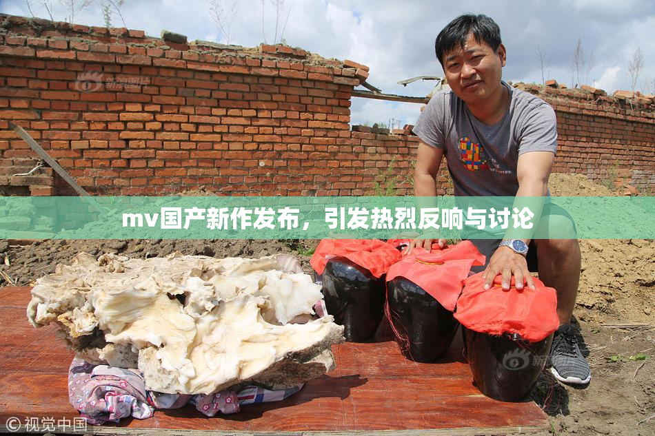 mv国产新作发布，引发热烈反响与讨论