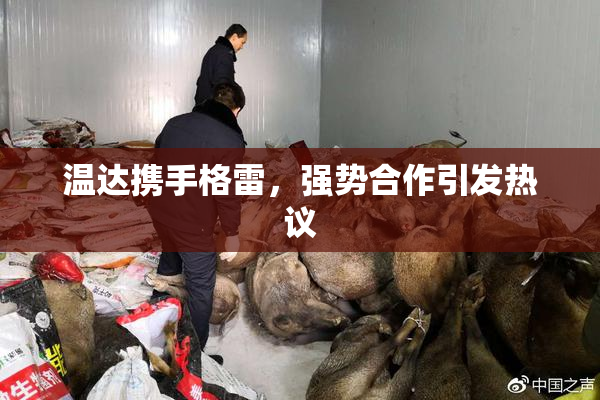 温达携手格雷，强势合作引发热议
