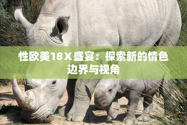 性欧美18Ⅹ盛宴：探索新的情色边界与视角