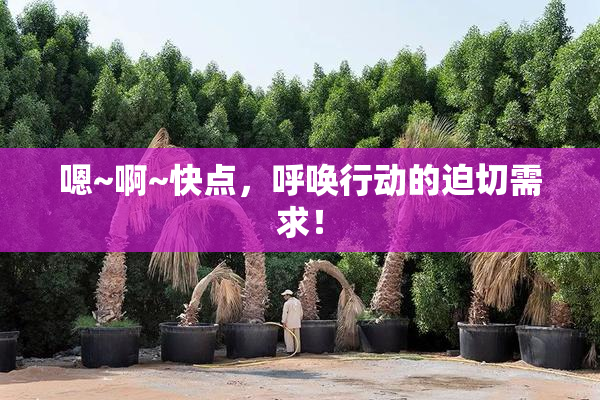 嗯~啊~快点，呼唤行动的迫切需求！