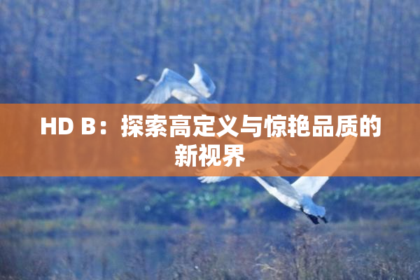 HD B：探索高定义与惊艳品质的新视界