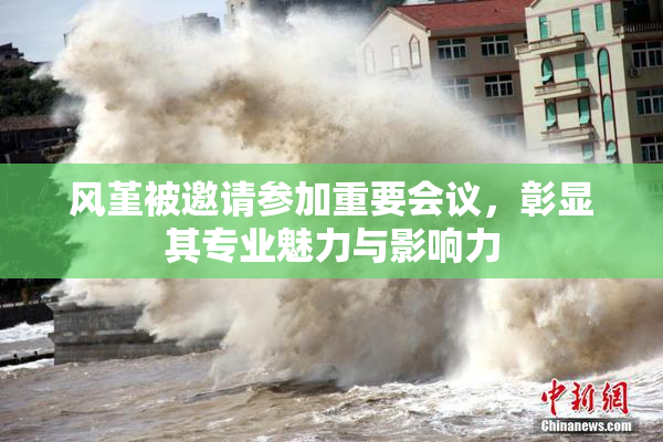 风堇被邀请参加重要会议，彰显其专业魅力与影响力