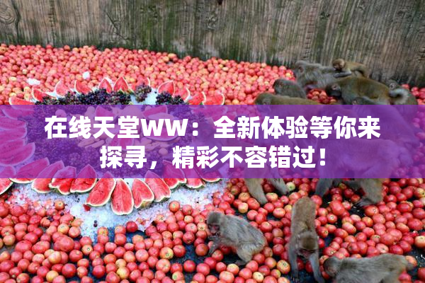 在线天堂WW：全新体验等你来探寻，精彩不容错过！