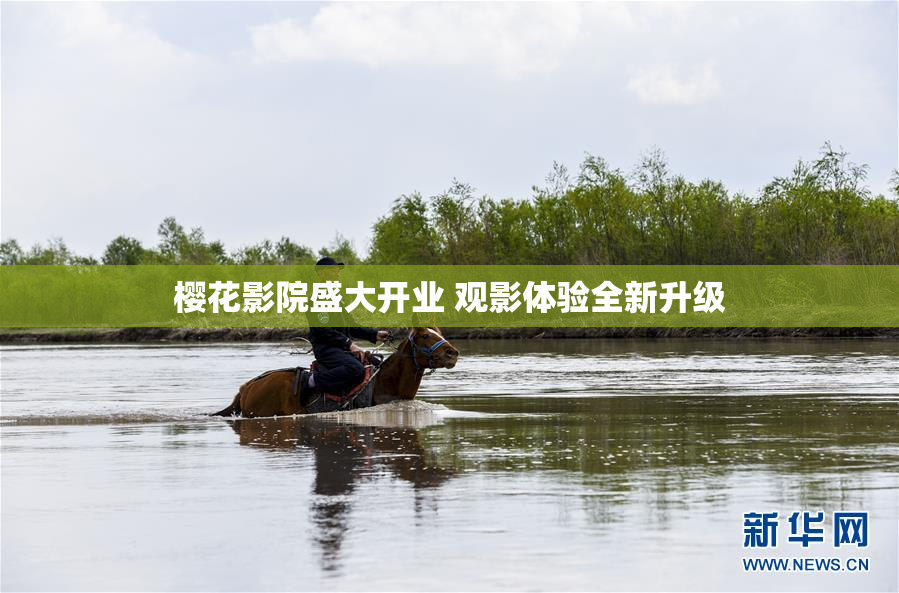 樱花影院盛大开业 观影体验全新升级