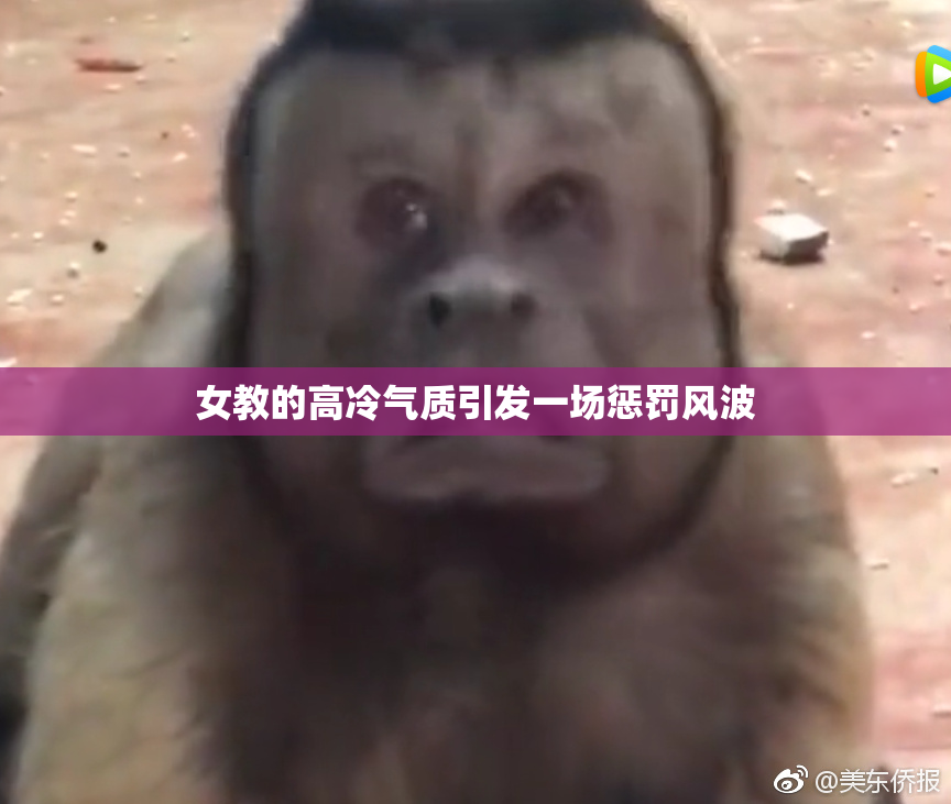 女教的高冷气质引发一场惩罚风波