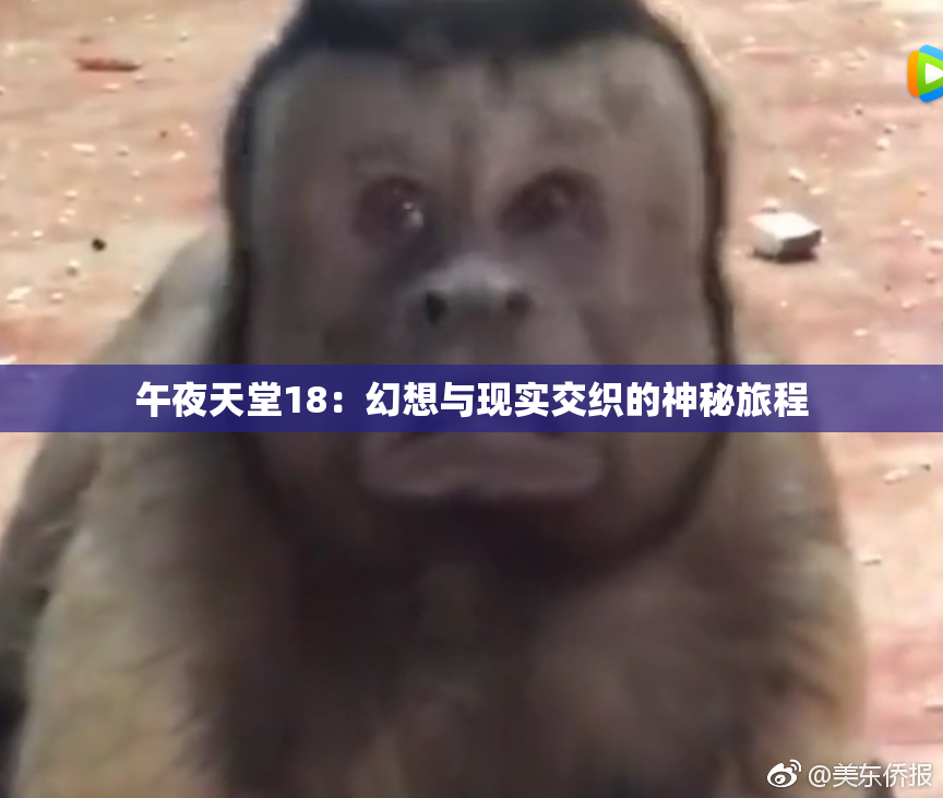 午夜天堂18：幻想与现实交织的神秘旅程