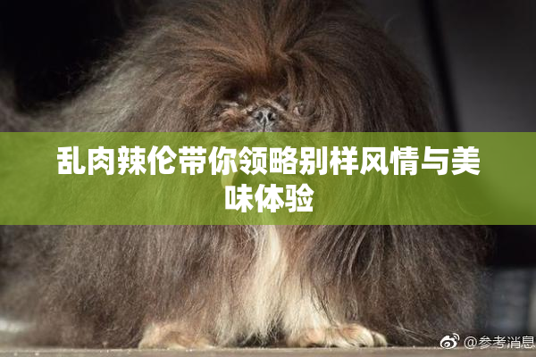 乱肉辣伦带你领略别样风情与美味体验