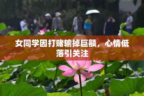女同学因打赌输掉巨额，心情低落引关注
