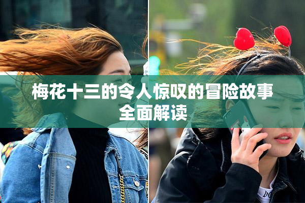 梅花十三的令人惊叹的冒险故事全面解读