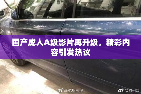 国产成人A级影片再升级，精彩内容引发热议