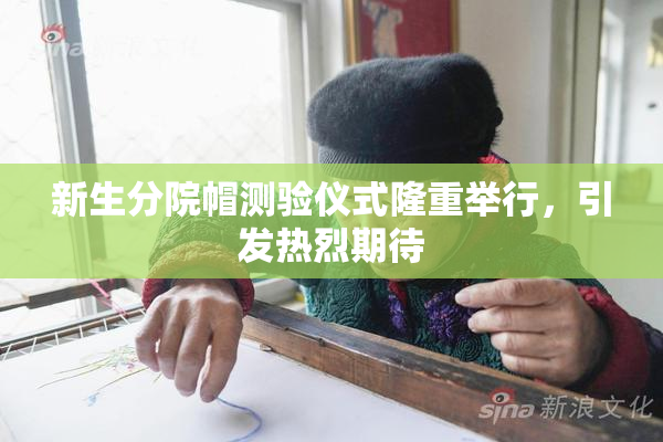新生分院帽测验仪式隆重举行，引发热烈期待