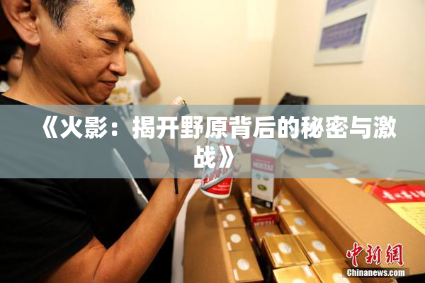 《火影：揭开野原背后的秘密与激战》