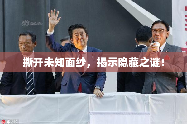 撕开未知面纱，揭示隐藏之谜！