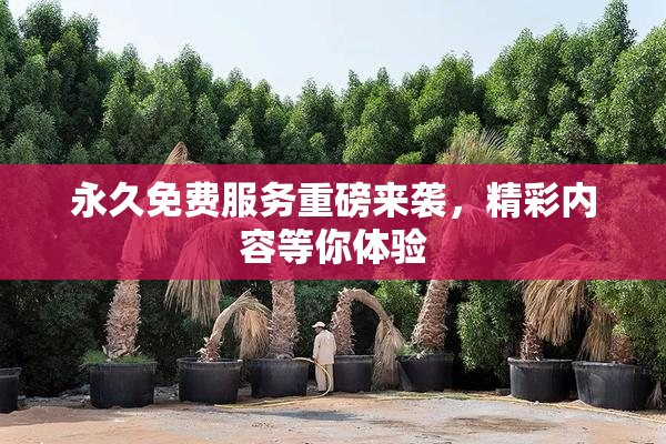 永久免费服务重磅来袭，精彩内容等你体验